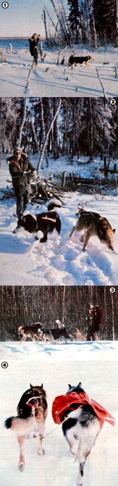 
The Collins sisters get around Alaska winters by skijoring.
